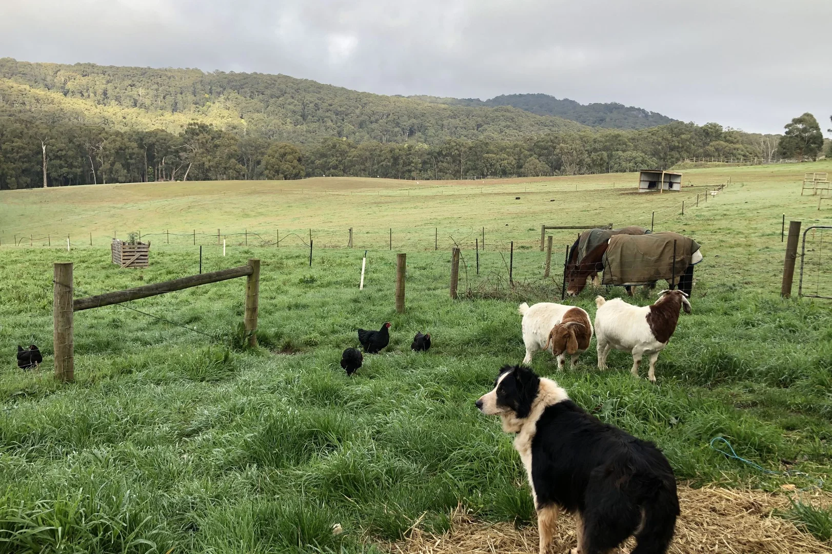 Additional image 24 of 138 Monbulk Road, Mount Evelyn VIC 3796