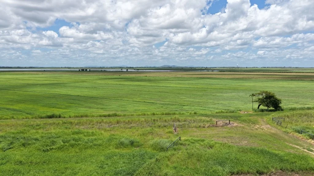 Additional image 39 of 162 Becker Road, Brandon QLD 4808