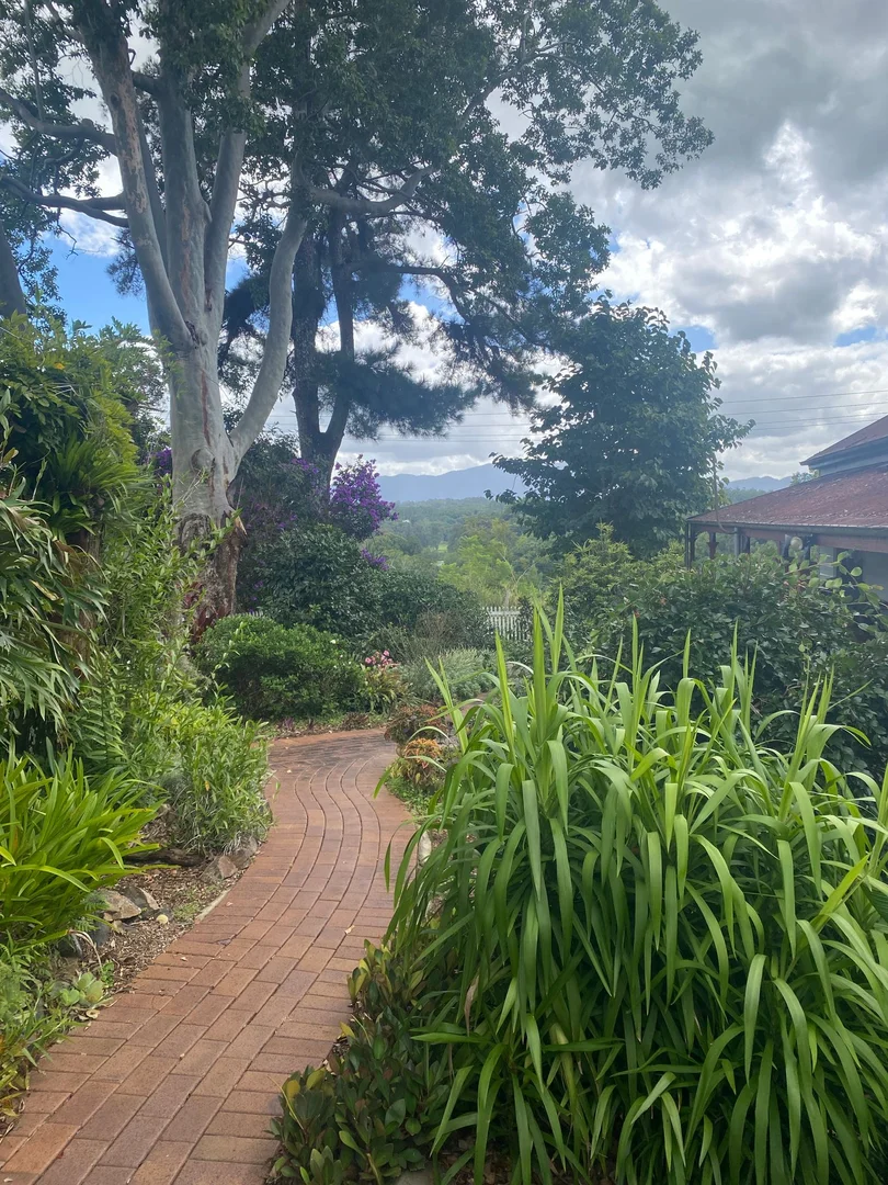 Additional image 6 of 44 Coronation St, Bellingen NSW 2454