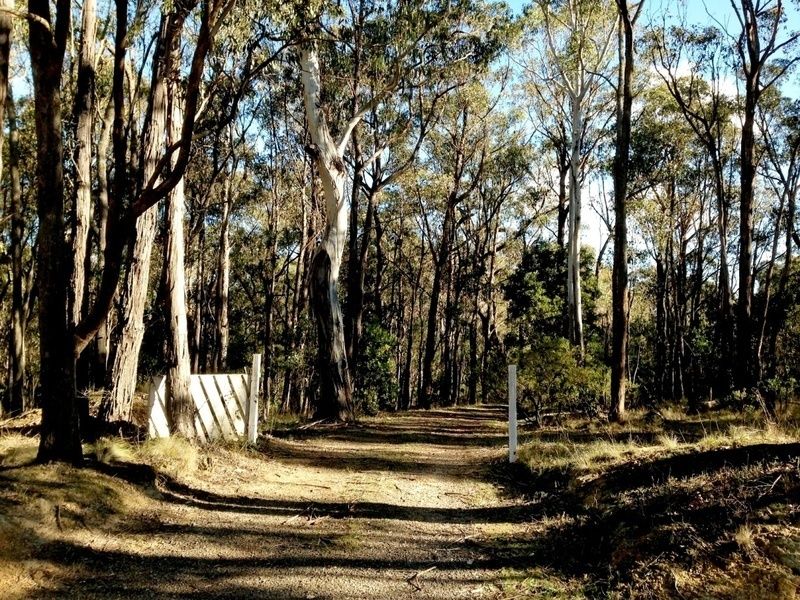 Lot 149 Dales Creek Avenue, DALES CREEK VIC 3341, Image 0