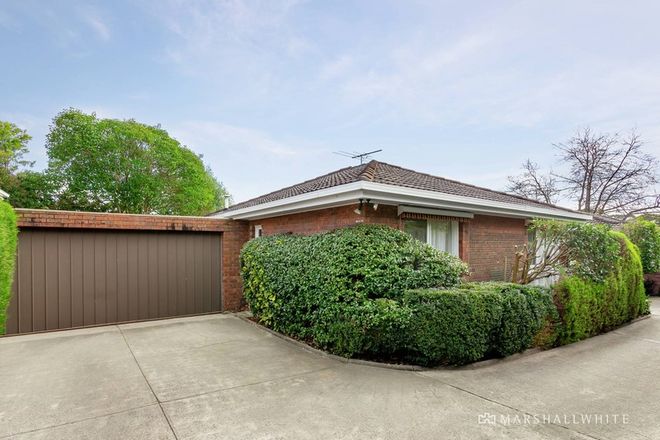 Picture of 2/55 Park Road, SURREY HILLS VIC 3127