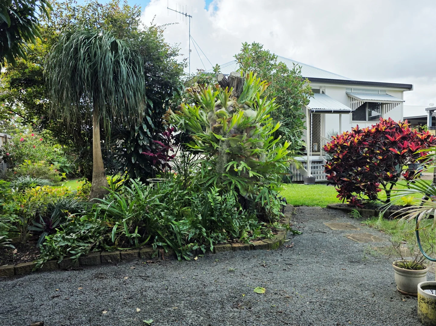 Image 15
