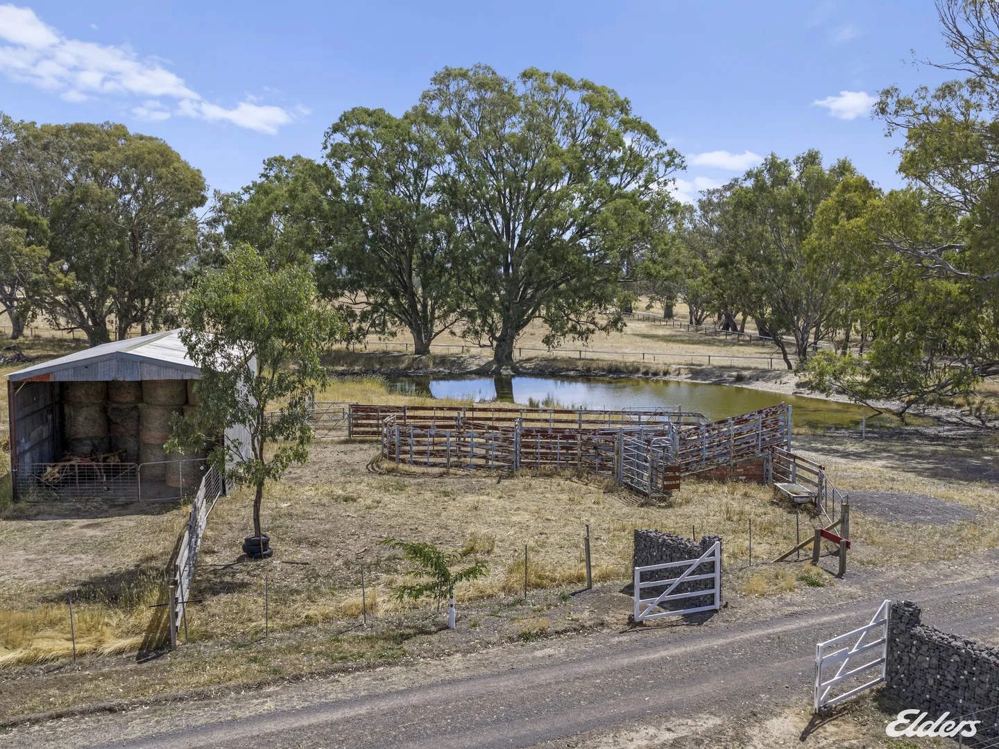 Image 20
