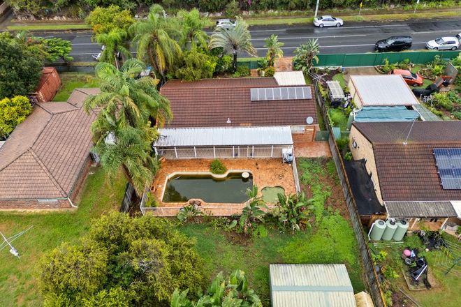 Picture of 105 Ziegenfusz Road, THORNLANDS QLD 4164