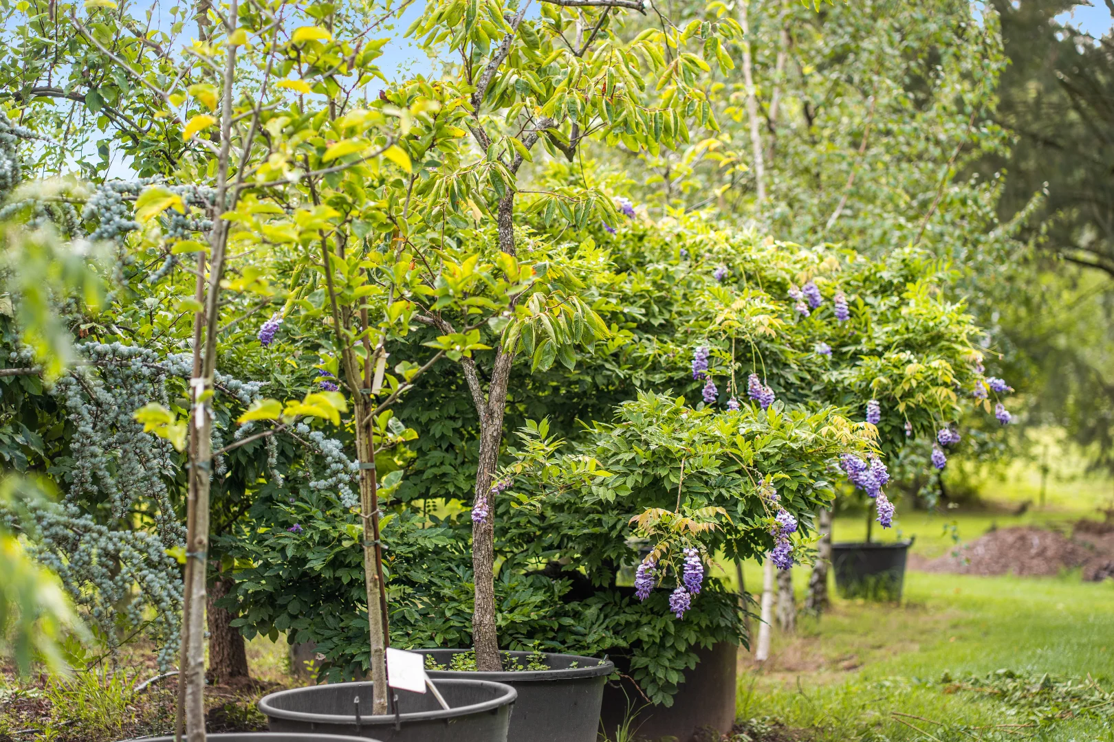 Additional image 11 of 41 Oxleys Hill Road, Bowral NSW 2576