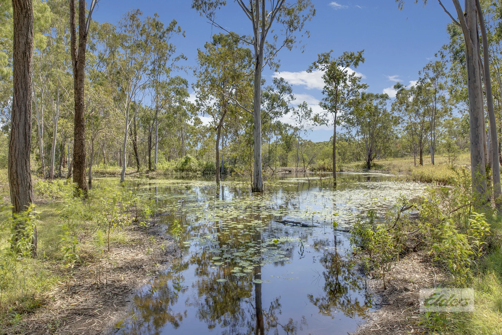 Additional image 18 of 49 Hoad Road, Benaraby QLD 4680