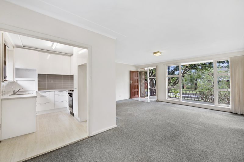 1 Paxton Street, Frenchs Forest NSW 2086, Image 1