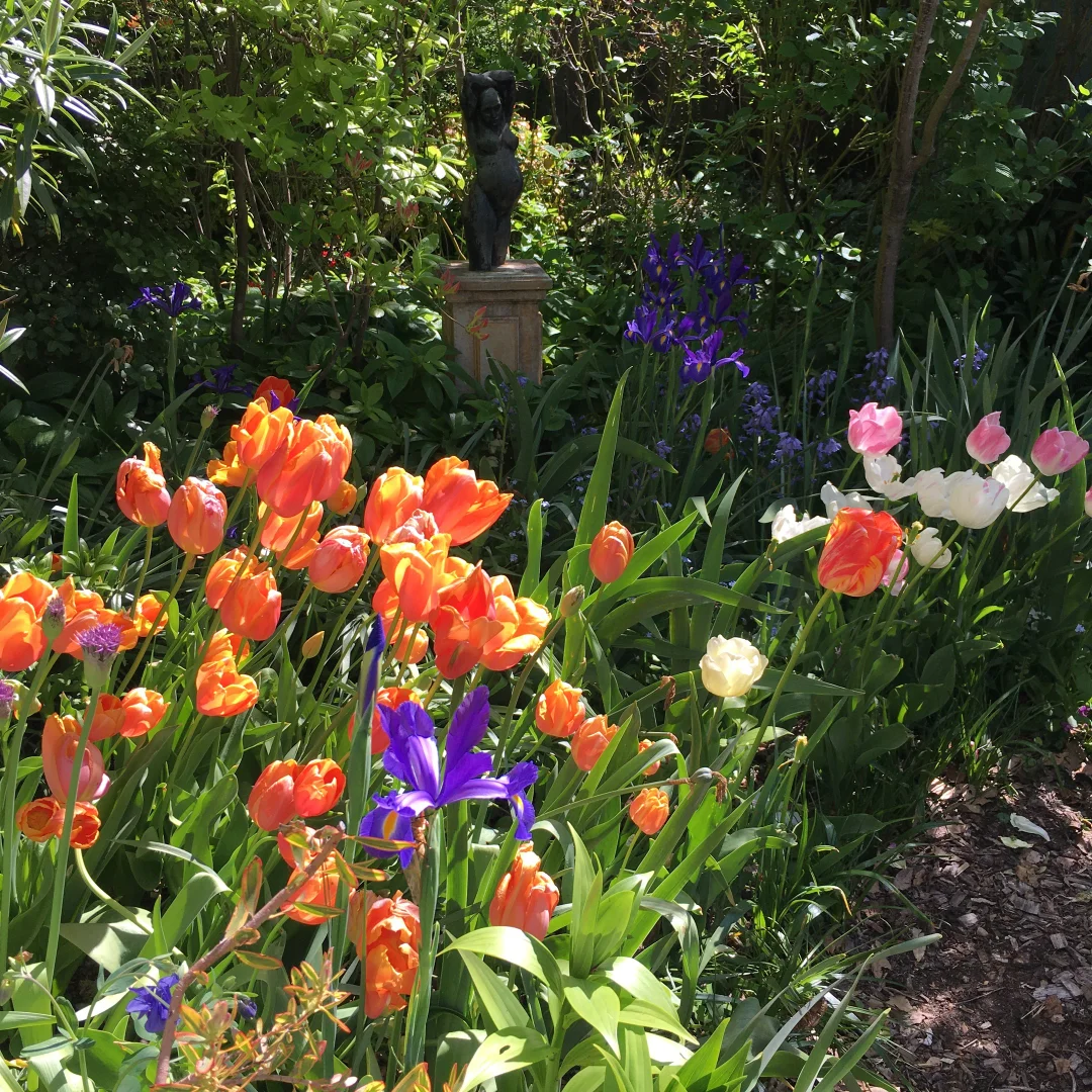 Image 20