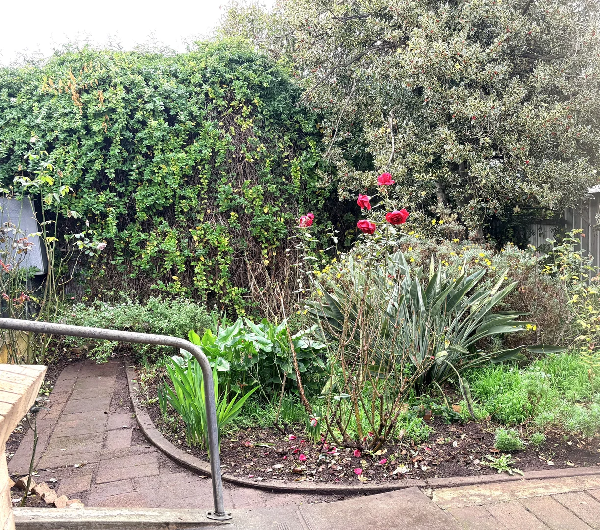 Image 30
