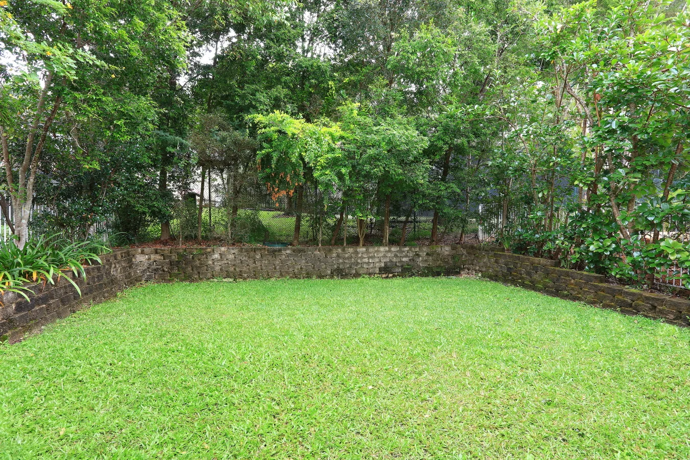 Image 21
