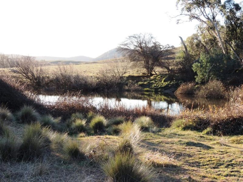 Lot 39 Middle Arm Road, Middle Arm NSW 2580, Image 1