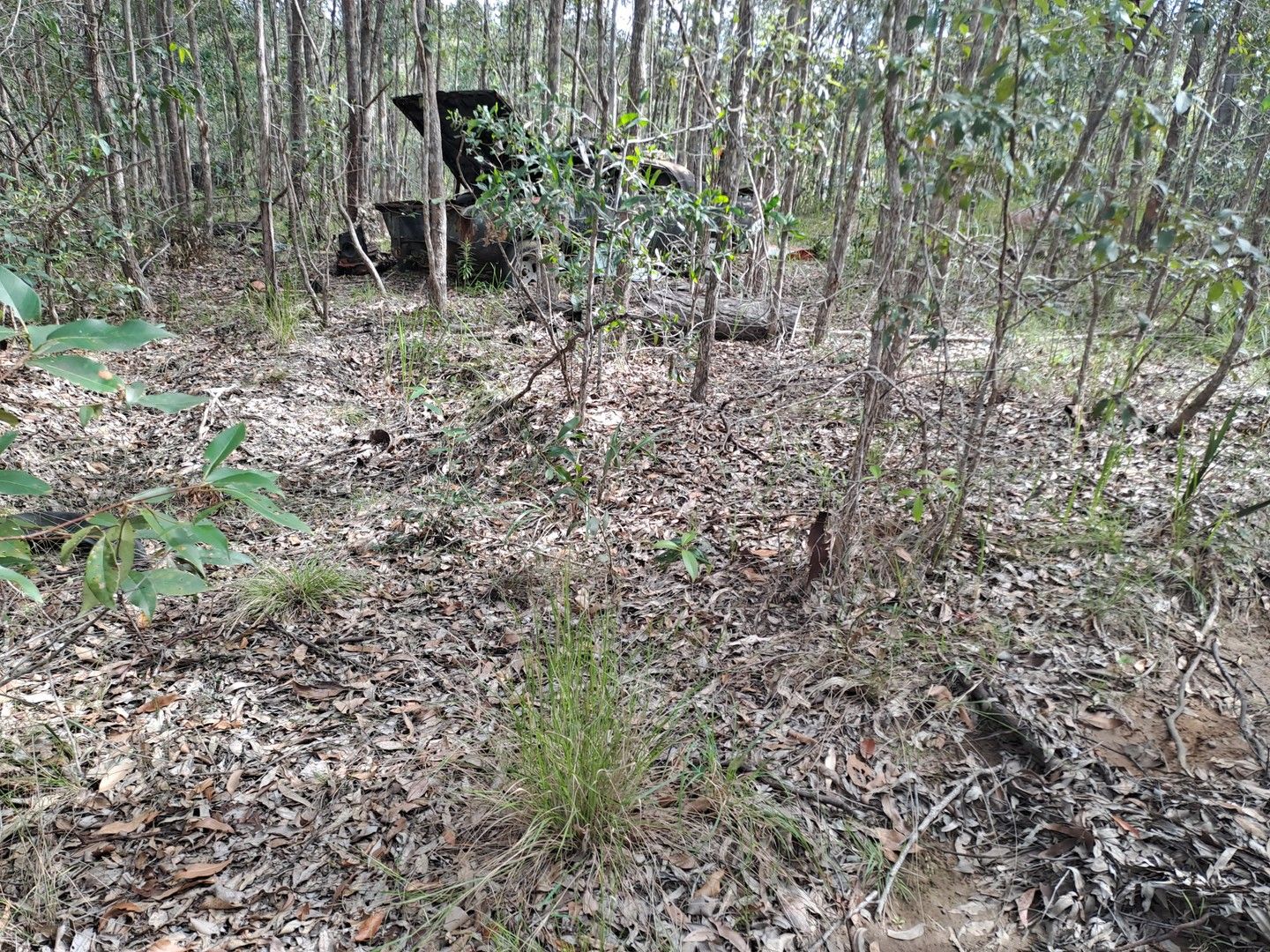 37 Raintree Road, Glenwood QLD 4570 Vacant Land for Sale 380,000