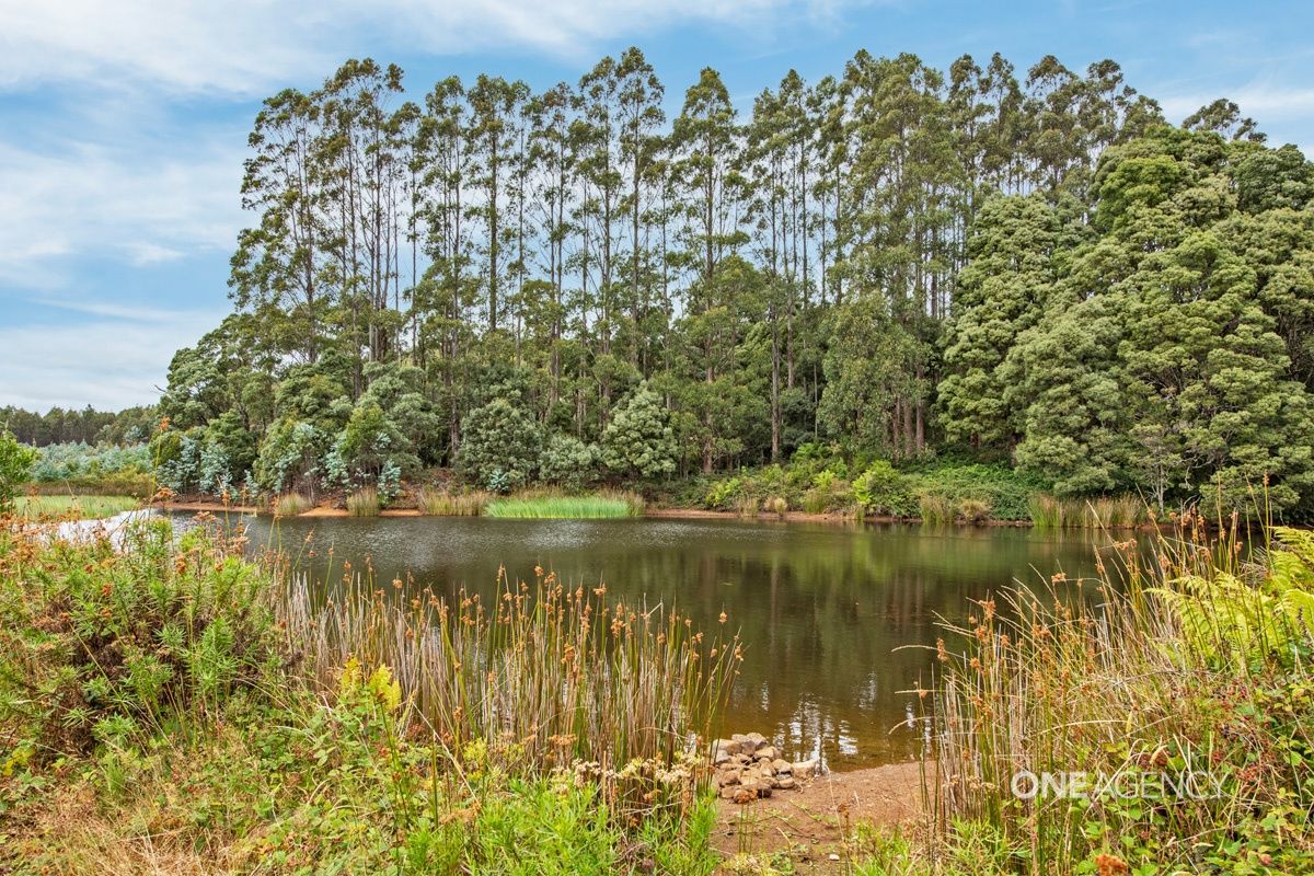 Humbles Road, Preolenna TAS 7325, Image 1