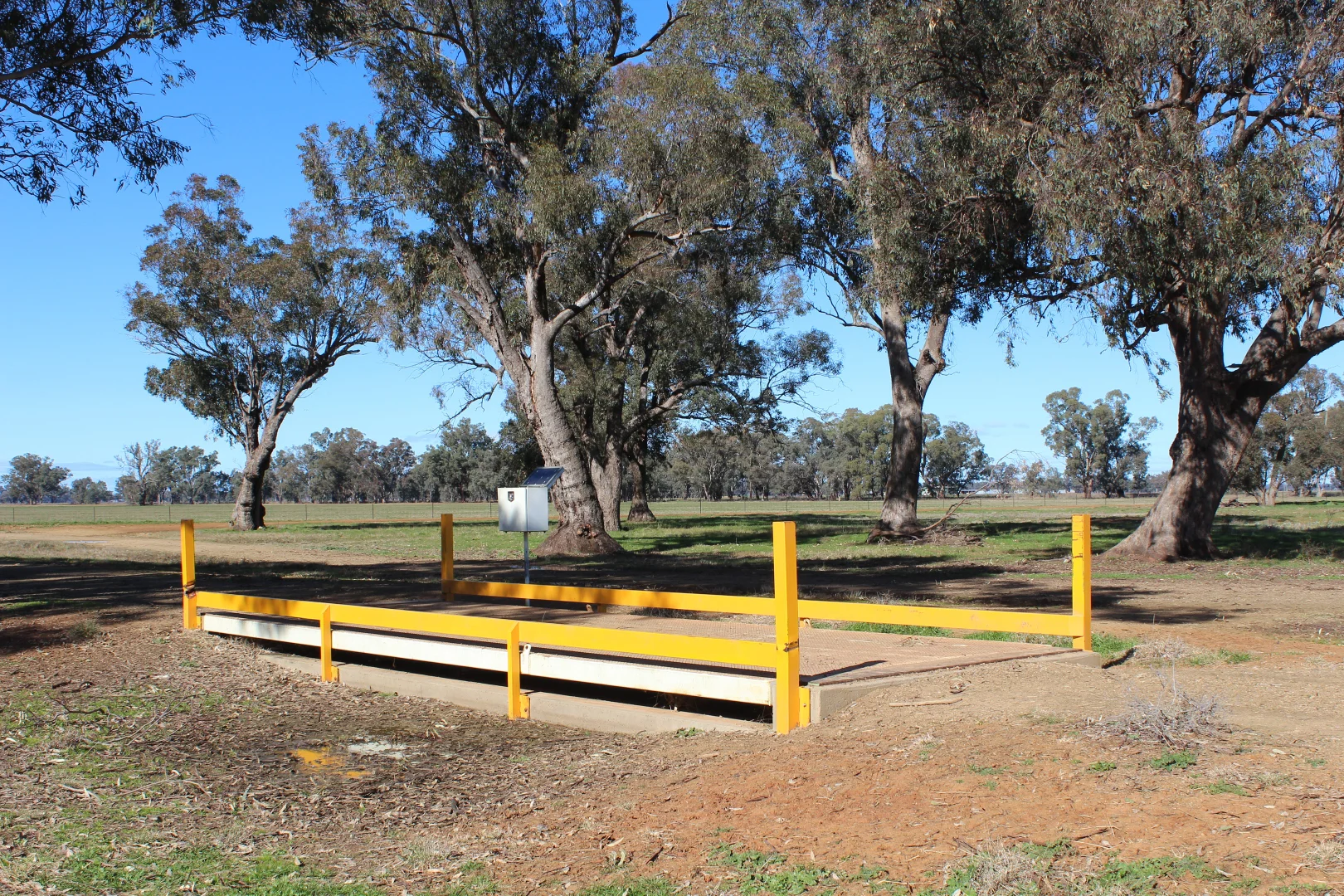 Image 35