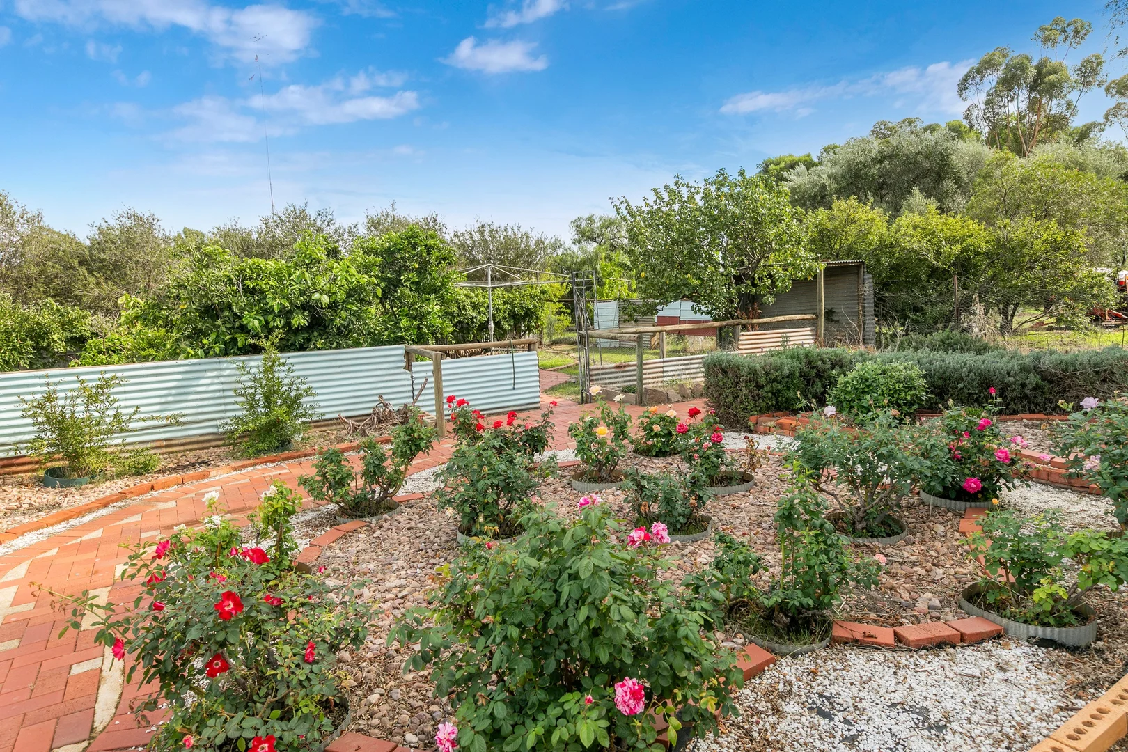 Additional image 19 of 9 Lorna Street, Spalding SA 5454