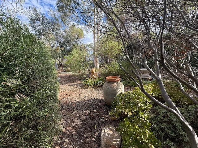 Image 21
