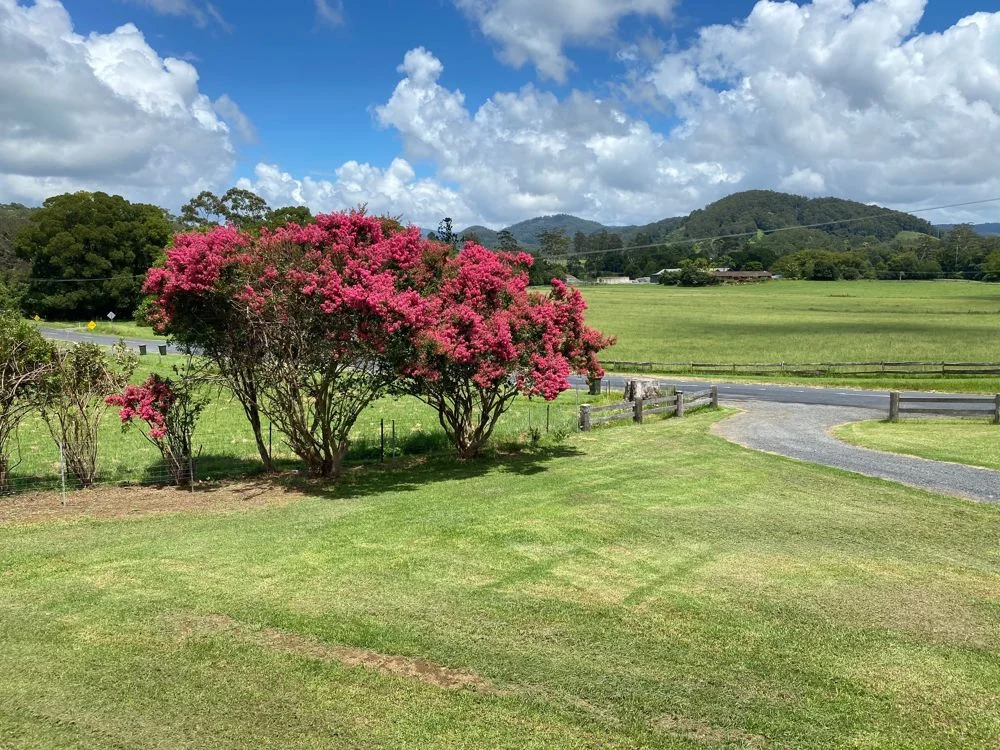 Additional image 15 of 3 Upper Orara Road, Karangi NSW 2450