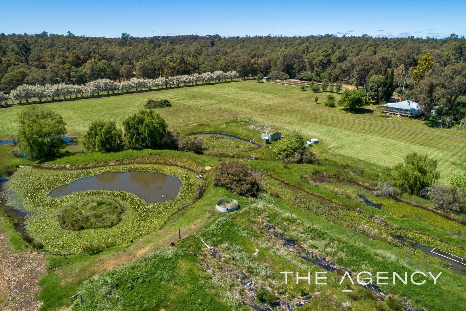 220 Peartree Lane, Parkerville WA 6081, Image 2