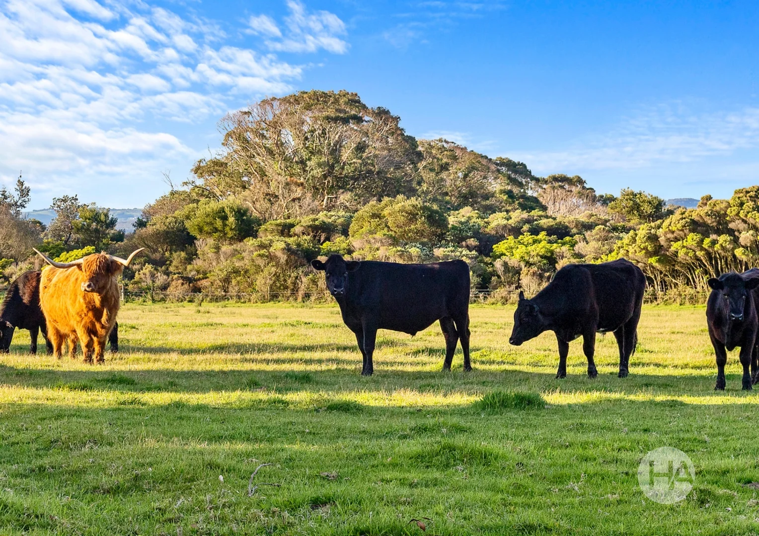 Additional image 16 of 17 Cooper Lane, Inverloch VIC 3996