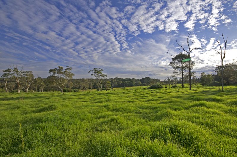 Peats Ridge NSW 2250, Image 0