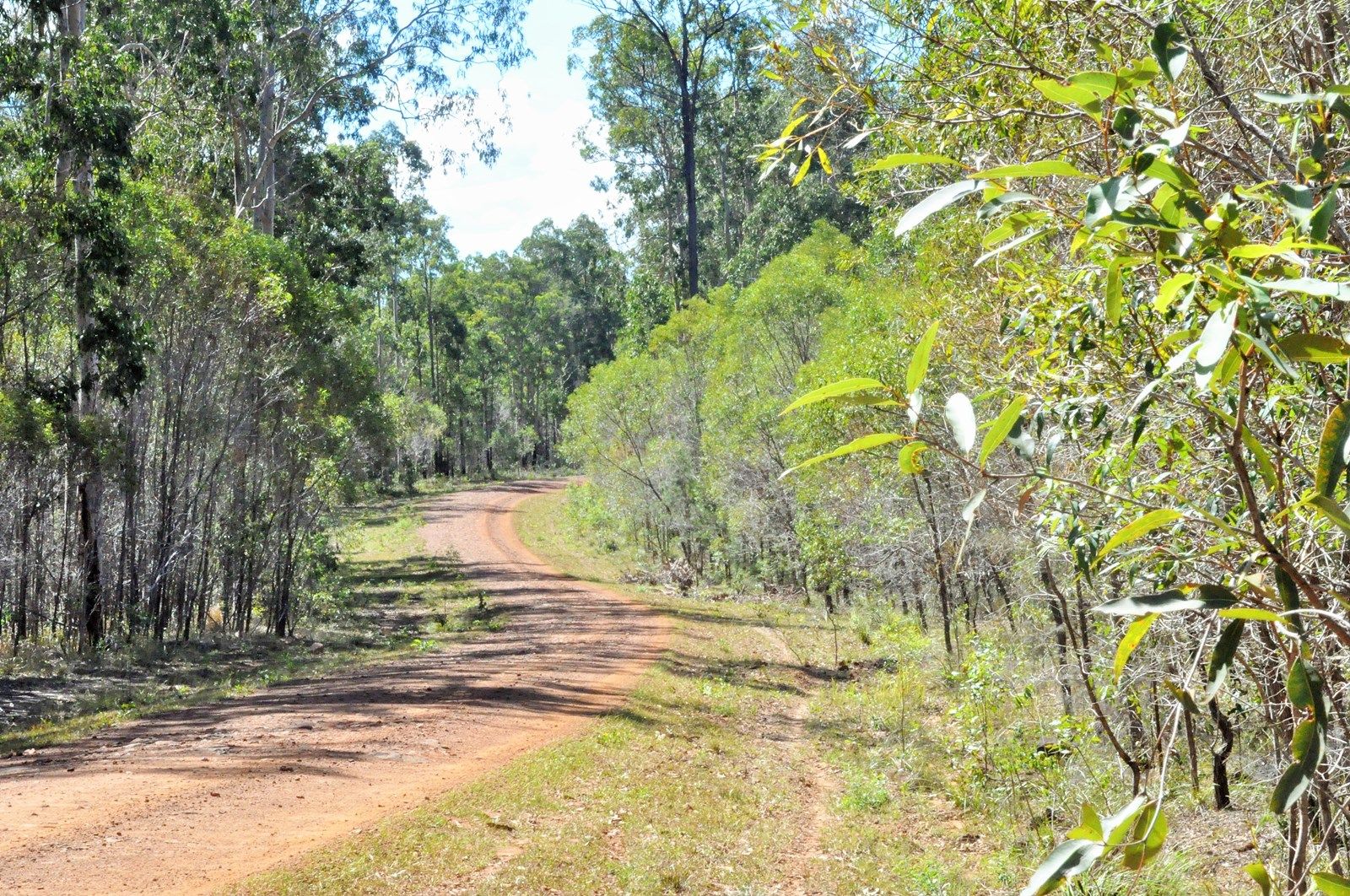 Lot 30 Bald Knob Tick Gate Road, Halfway Creek NSW 2460, Image 2