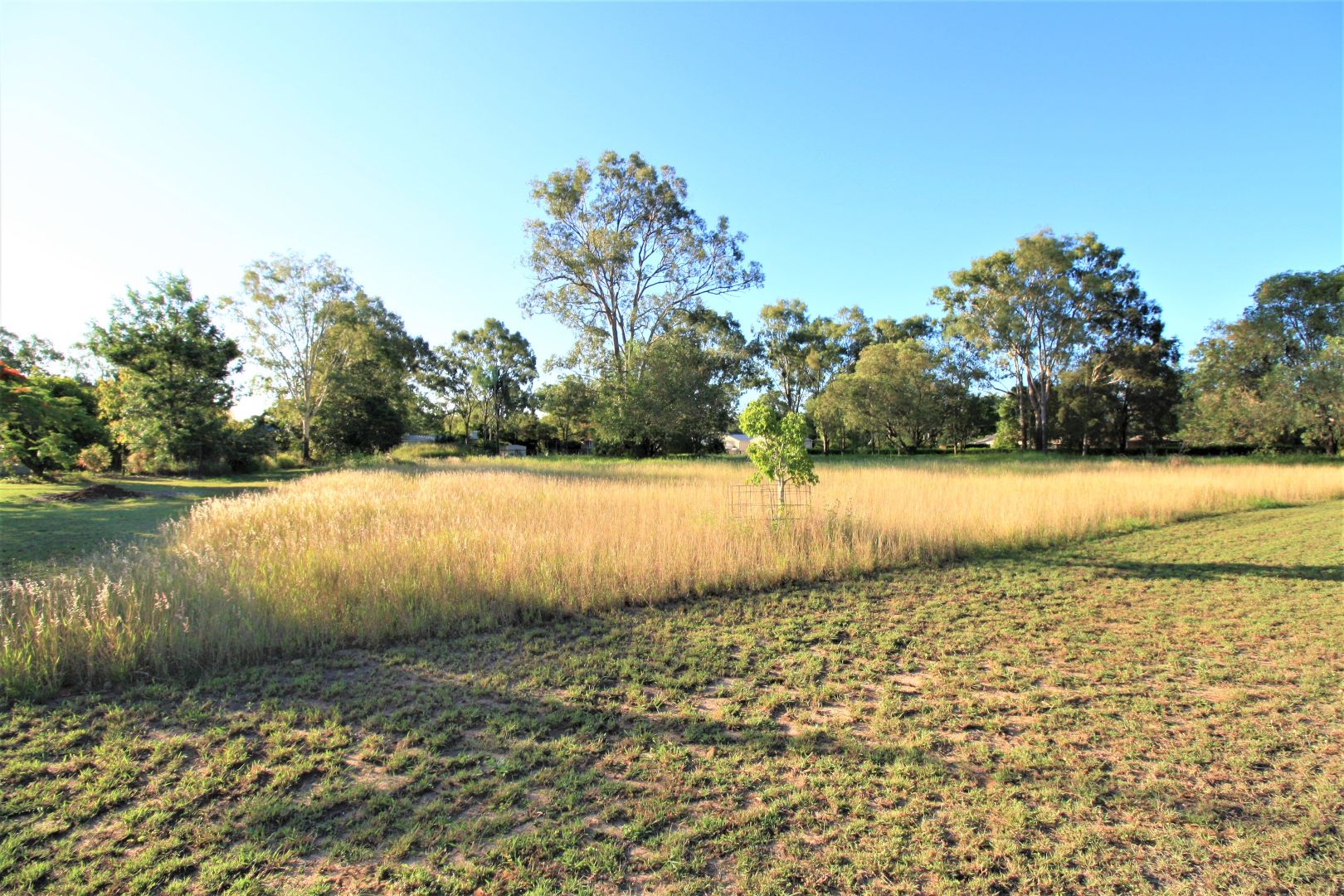 31 Currawong Road, Gooburrum QLD 4670, Image 1