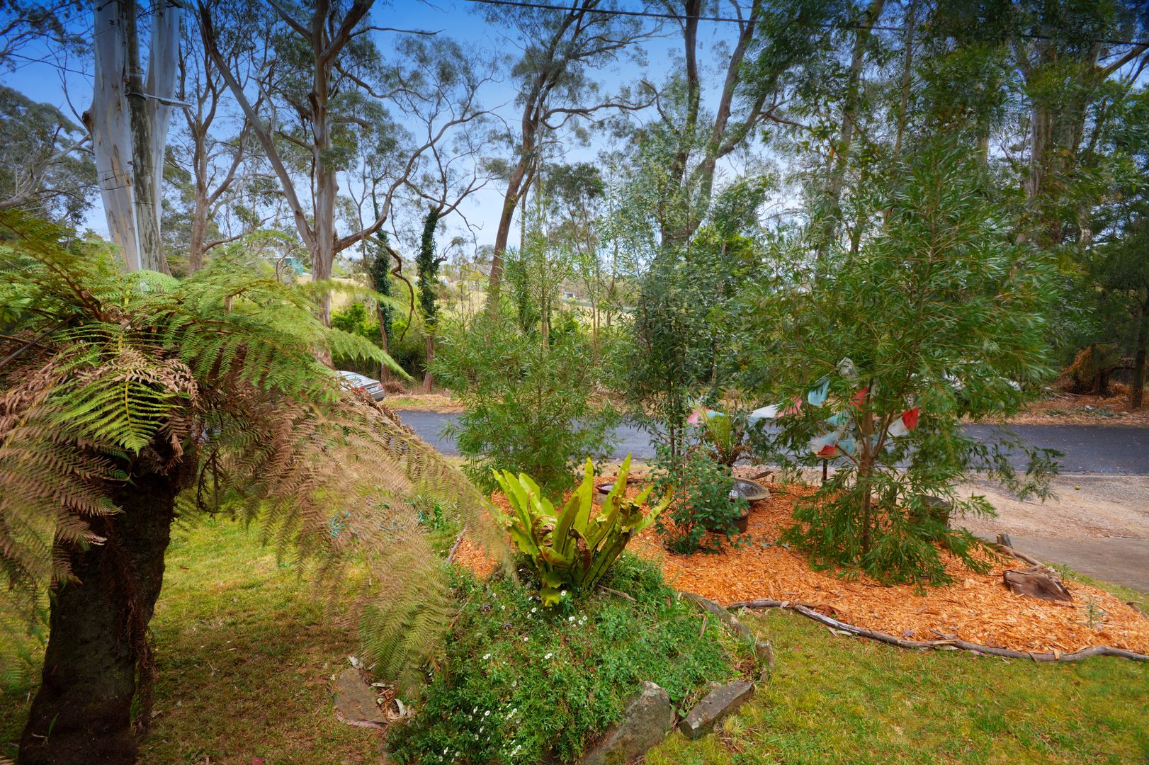 8 Twynam Street, Katoomba NSW 2780, Image 1