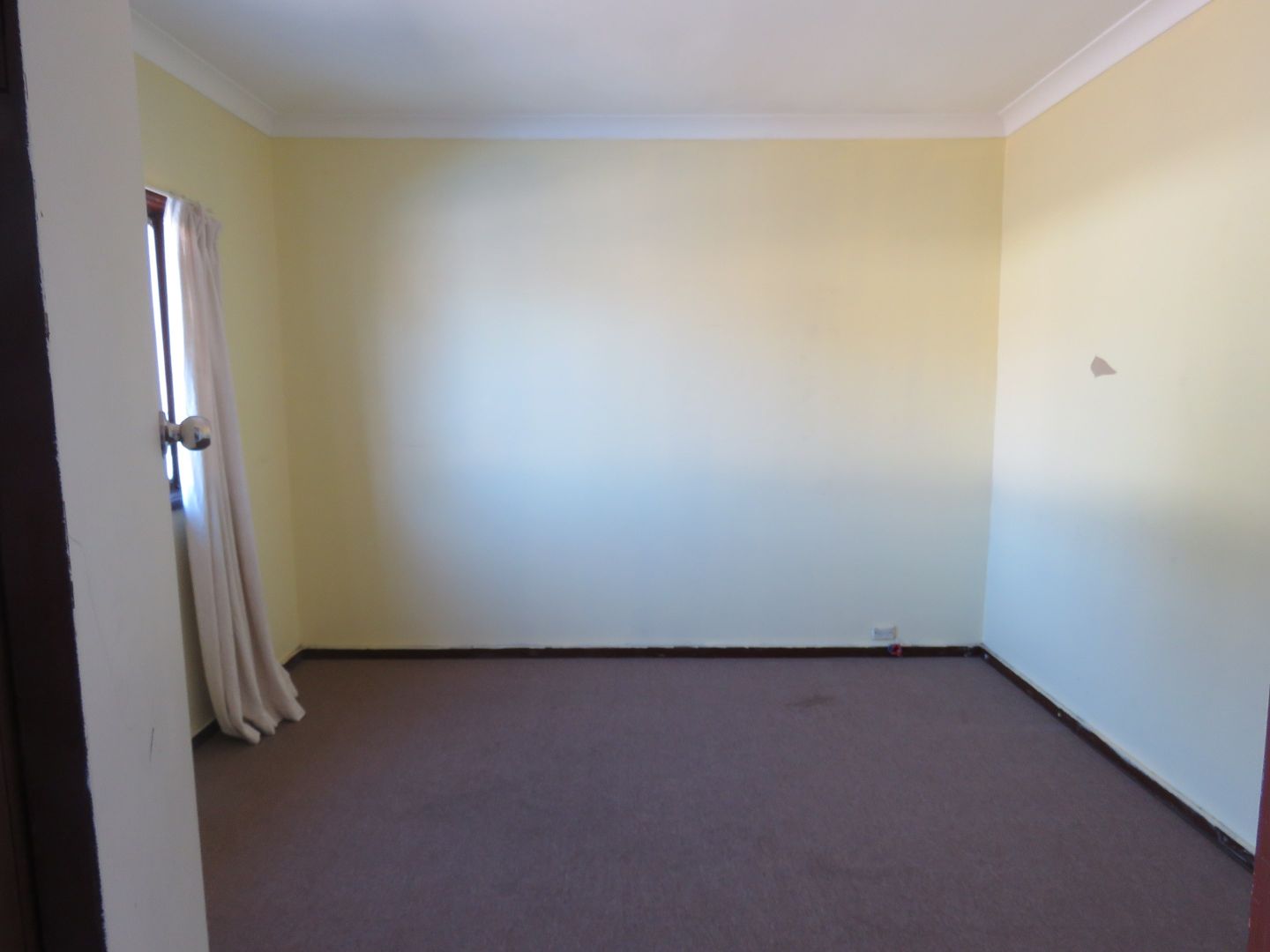 1 Wall Park Avenue, Seven Hills NSW 2147, Image 1