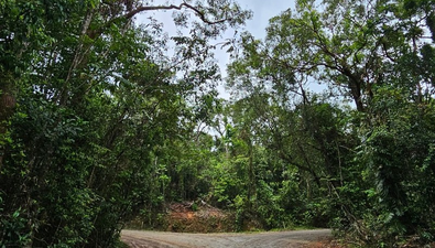 Picture of Lot 232 White Beech Road, DAINTREE QLD 4873