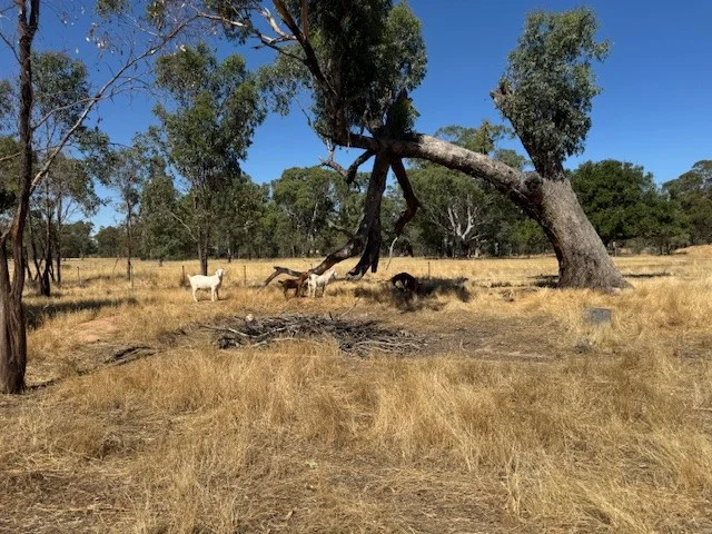 Image 14