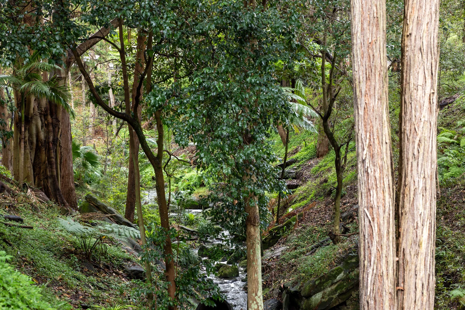 Image 6
