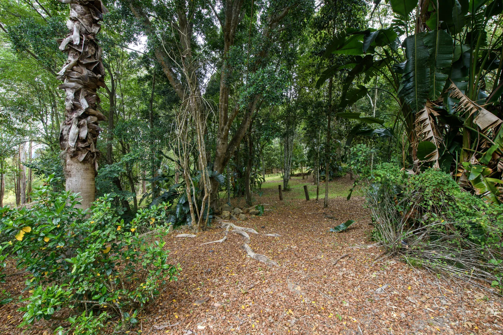Image 25