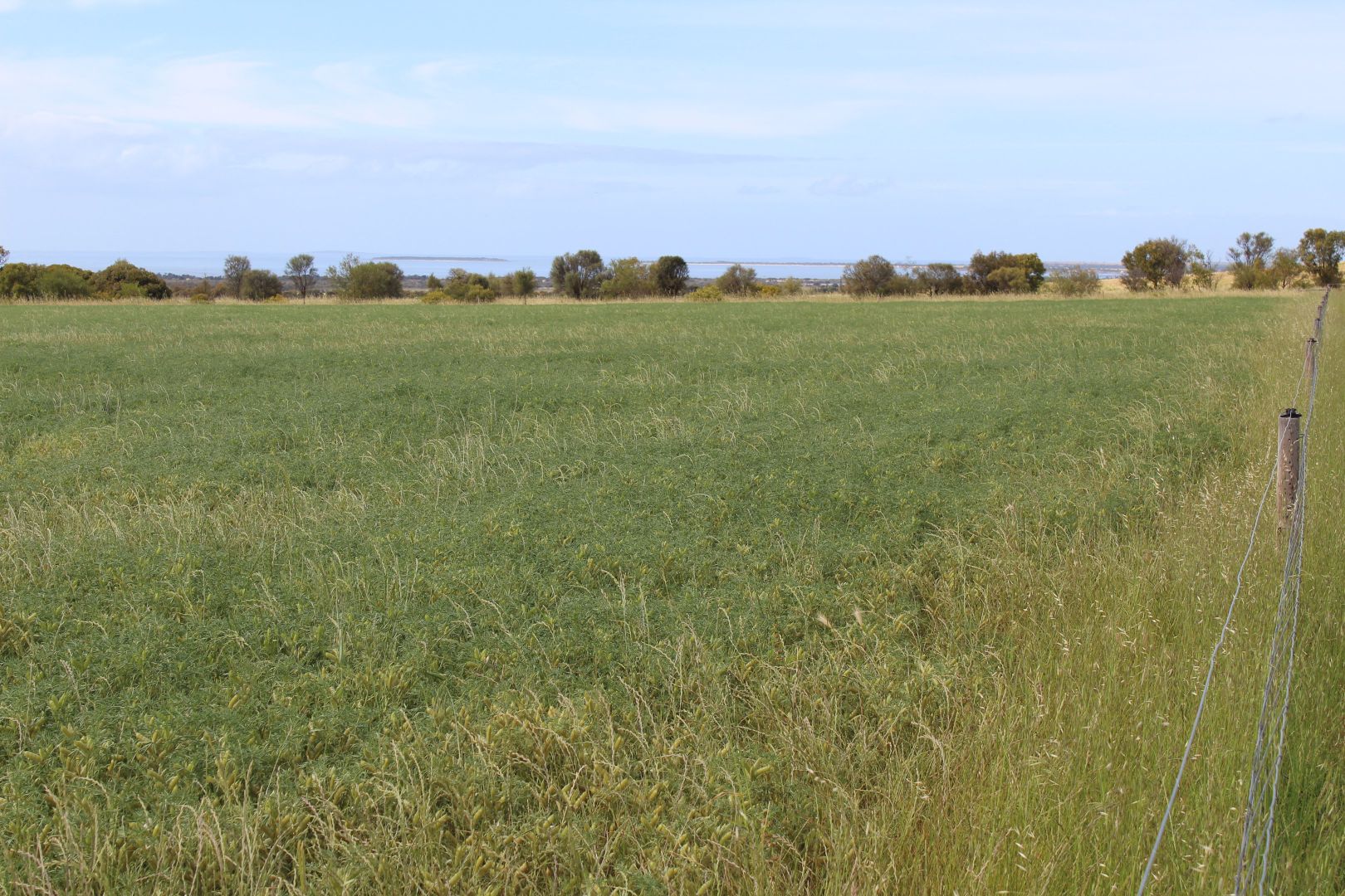 Allotment 4 Bawdens Road, Tumby Bay SA 5605, Image 2