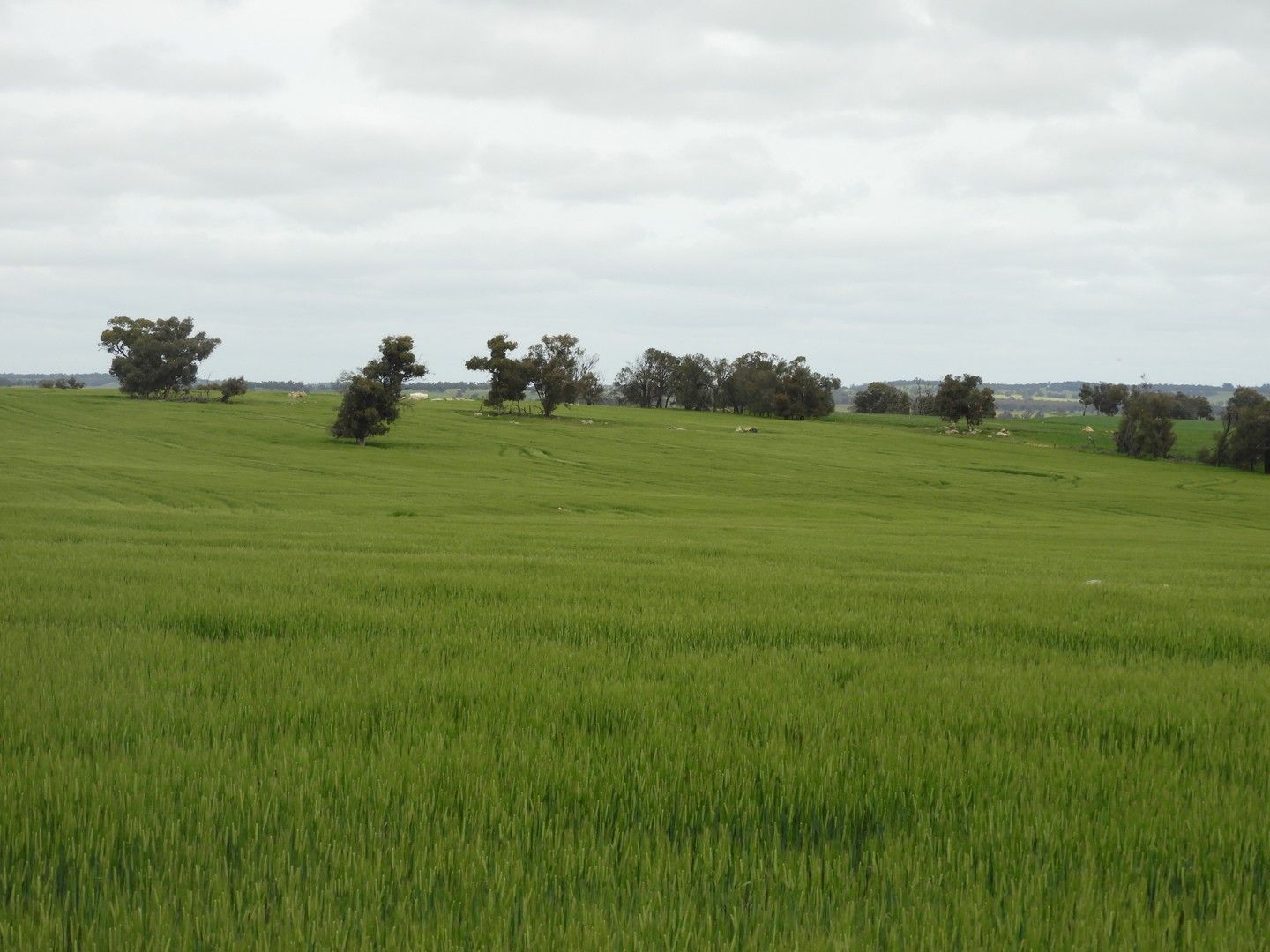 Eagle's Nest #1, Wangeling Gully Road, Williams WA 6391, Image 0