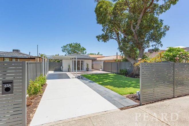 Picture of 43a Manchester Street, VICTORIA PARK WA 6100