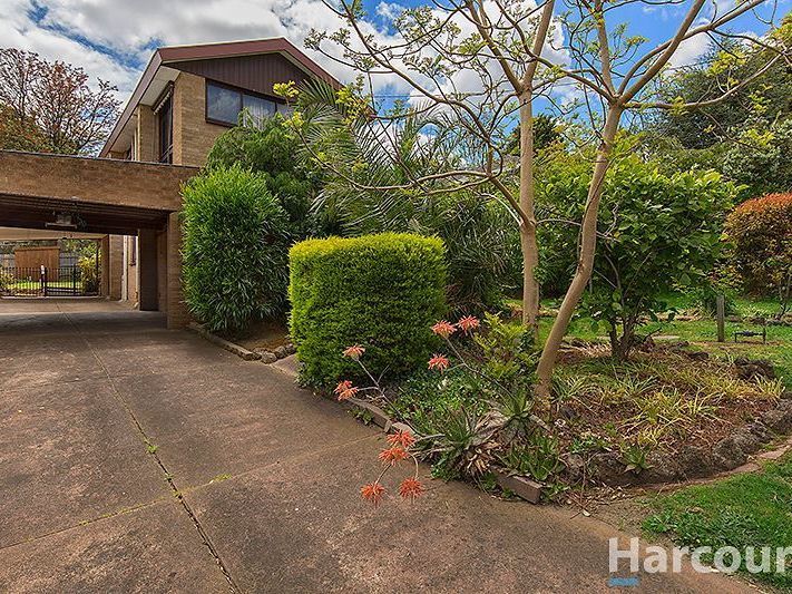 25 Gwynne Street, Mount Waverley VIC 3149, Image 1