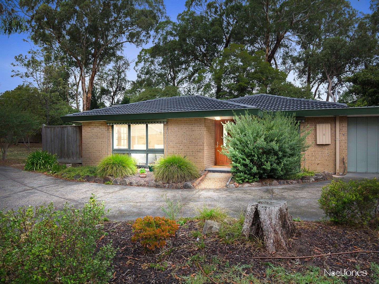 5/99-101 Surrey Road, Blackburn North VIC 3130, Image 0