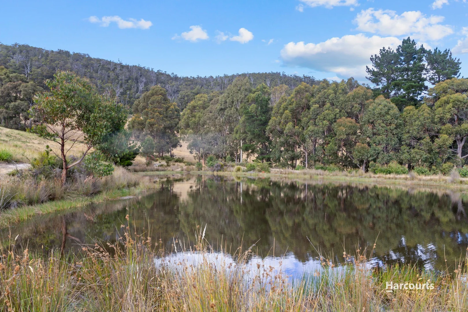 Additional image 40 of 48 Quarry Road, Glen Huon TAS 7109