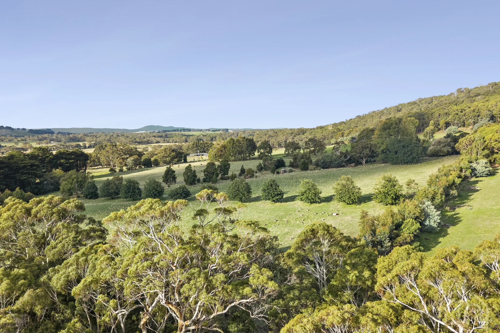 Additional image 32 of 113 Lavender Farm Road, Woodend VIC 3442