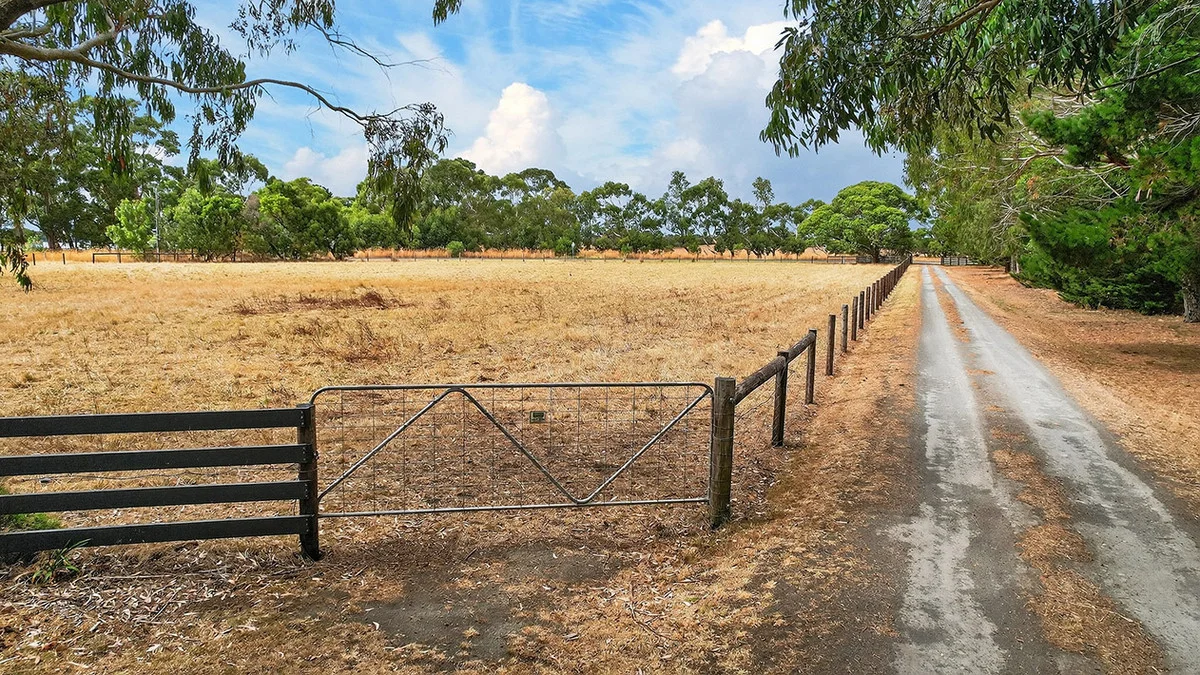 Image 18