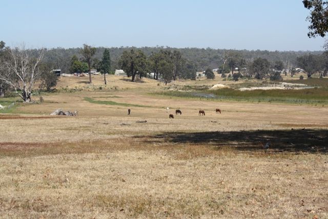 Lot 17 Junction Road, Manjimup WA 6258, Image 2