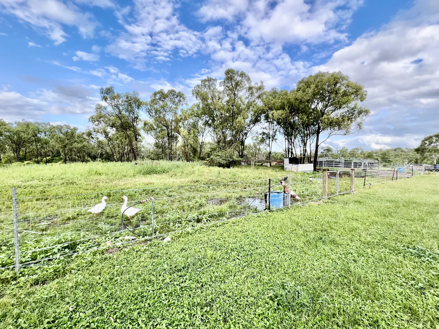 Additional image 29 of 22 Sawmill Road, Woodstock QLD 4816