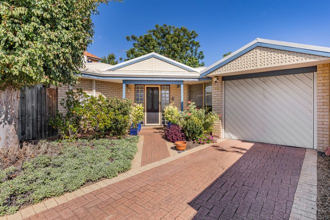 Picture of 113a Hordern Street, VICTORIA PARK WA 6100