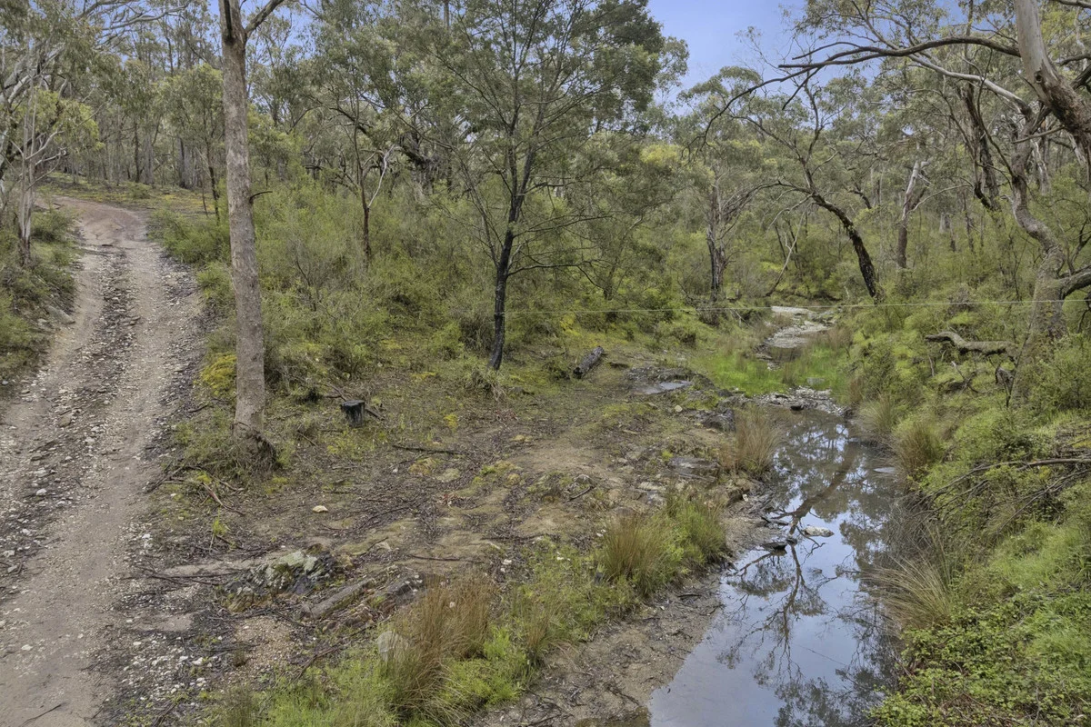 Image 23