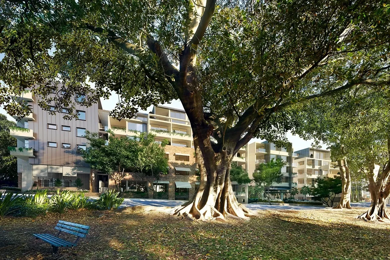 Image 8