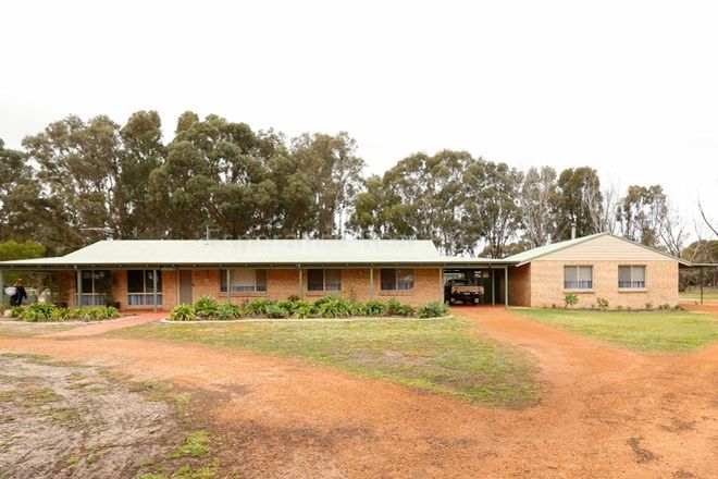 Picture of 41 Bimbadeen Close, MYRUP WA 6450