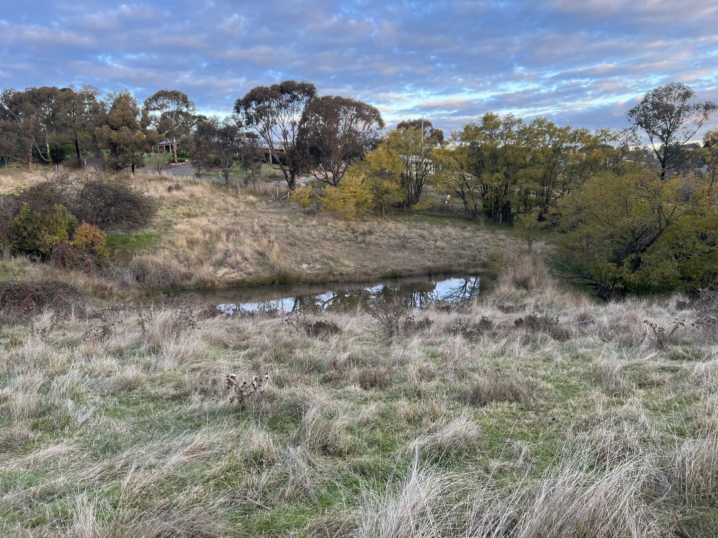 10 Rodd Street, Carcoar NSW 2791 Vacant Land for Sale Domain