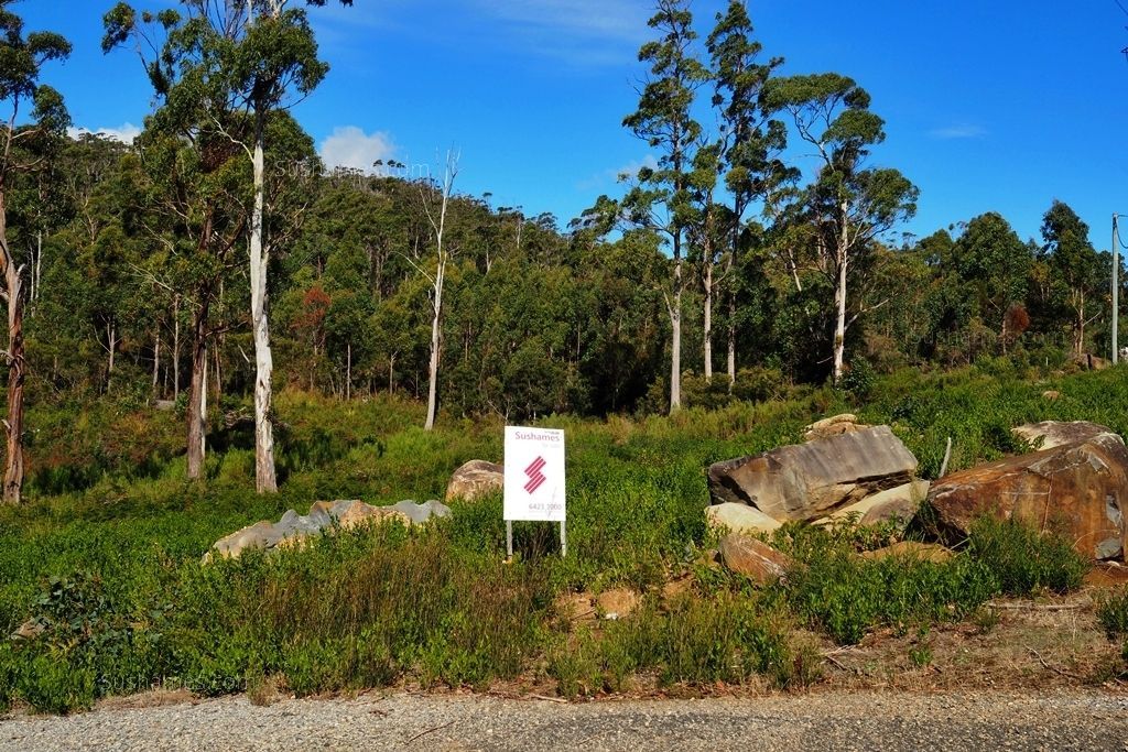 Lot 19 Forest Heights Drive, Tugrah TAS 7310, Image 2