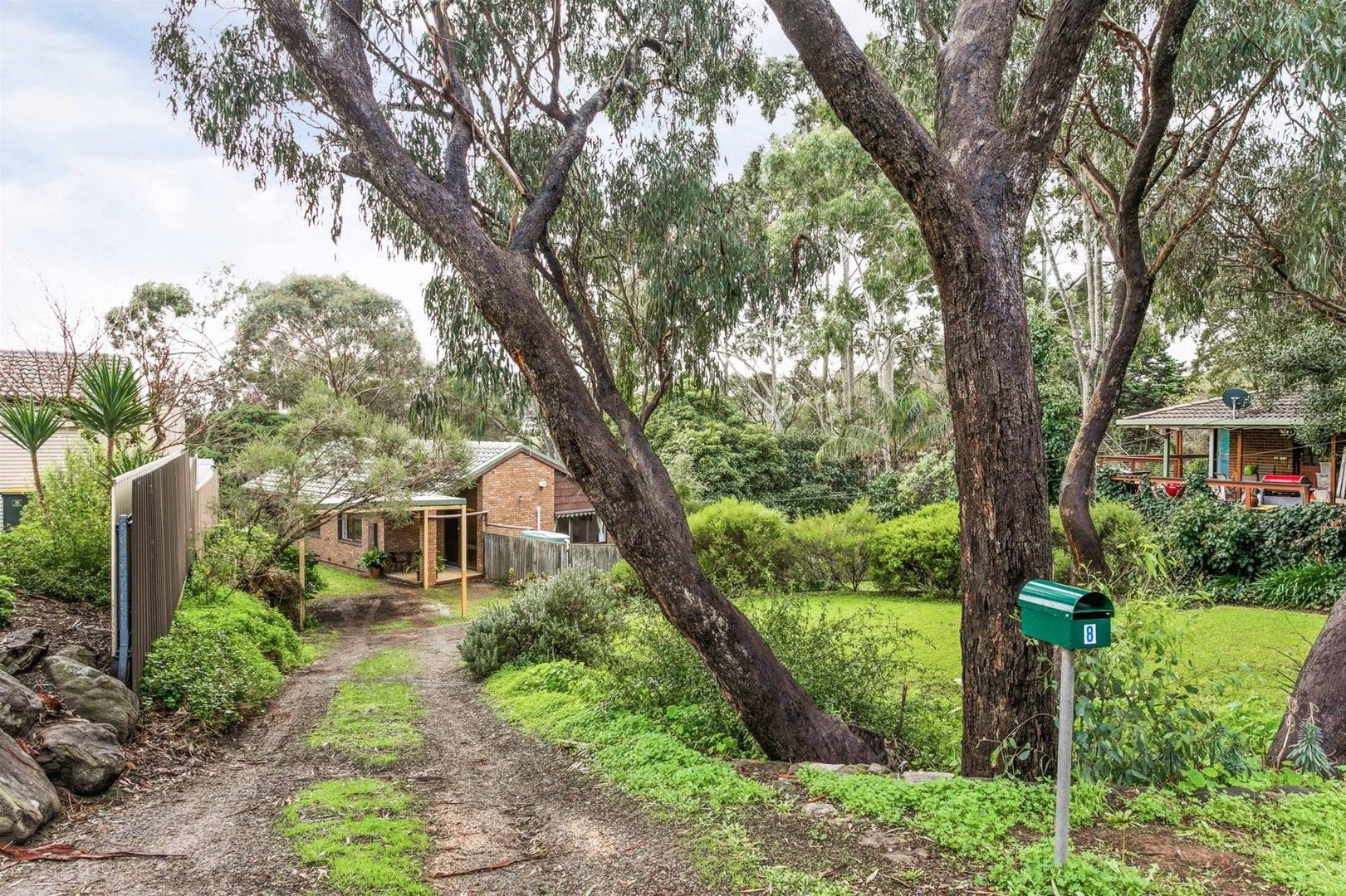 8 David Street, Coromandel Valley SA 5051 Domain