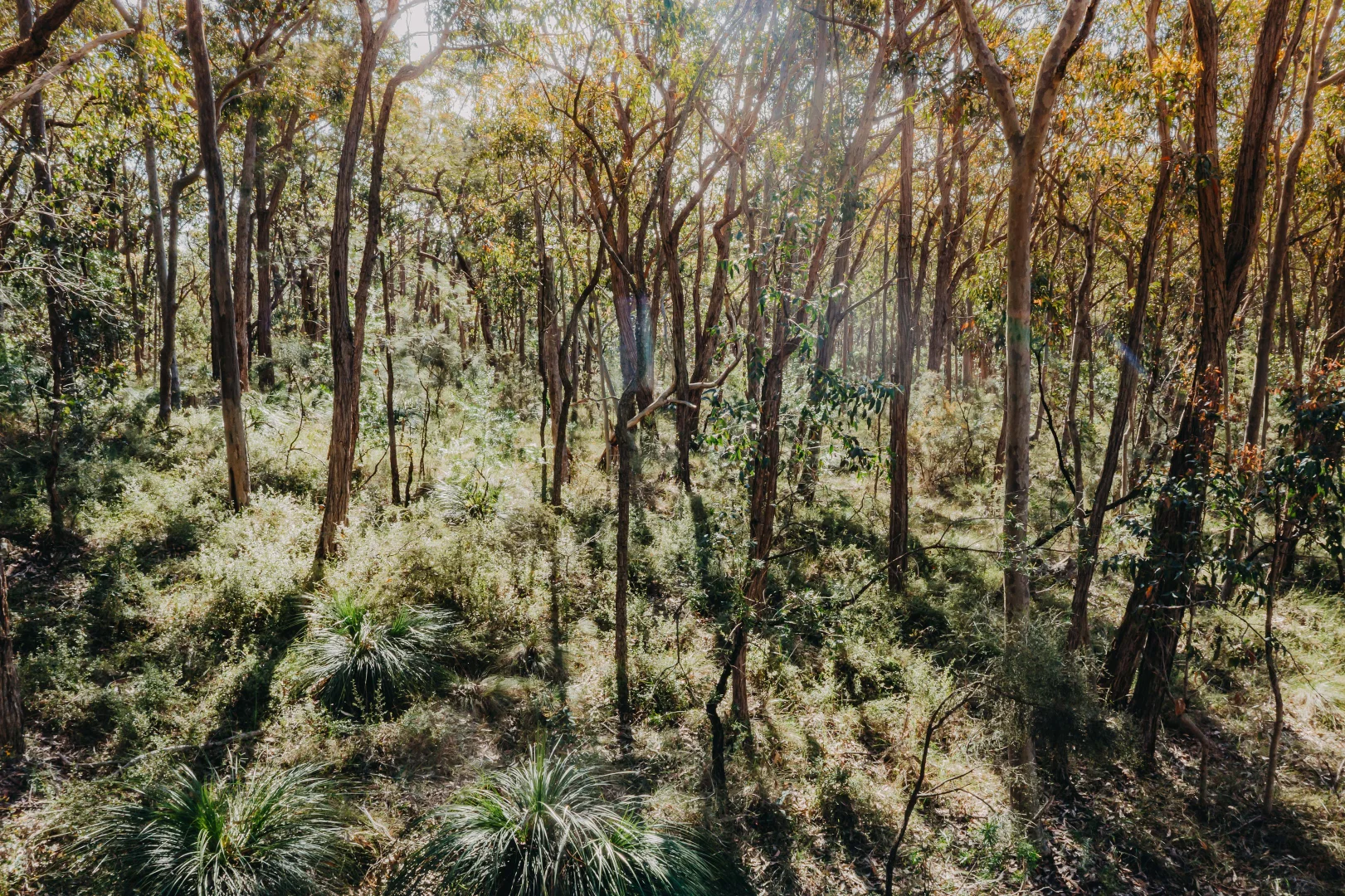 Image 15